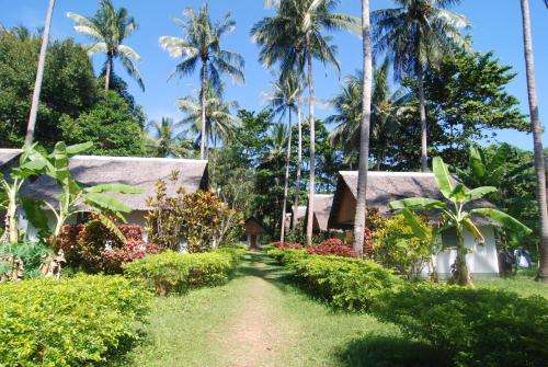 www.lantacoralresort.com