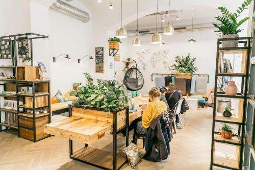 www.dream-hostels.com