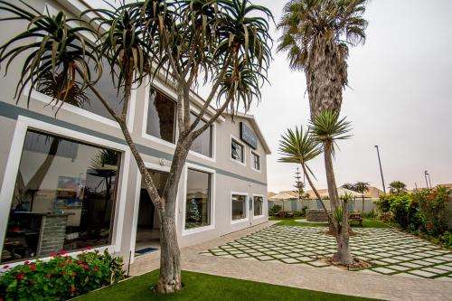 www.seaviewbackpackers.com