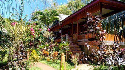 www.bunakenbackpackers.com