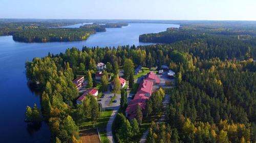 www.sedu.fi