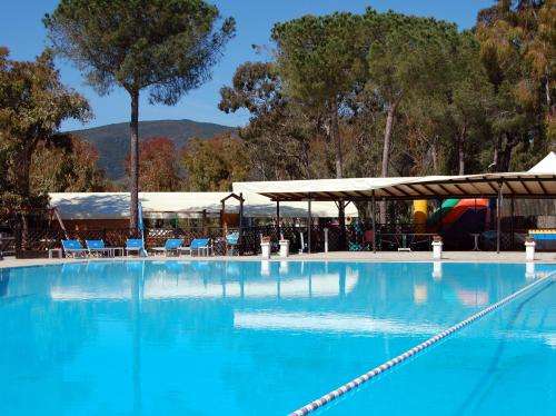 www.camping-lacona.it