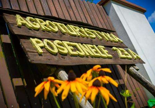 www.agro-jacwing.pl