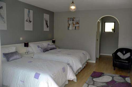 www.shalomcarlingford.ie