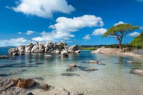 www.lieges-palombaggia.com