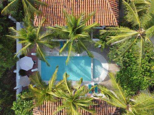 www.bungalowsantacruz.mx