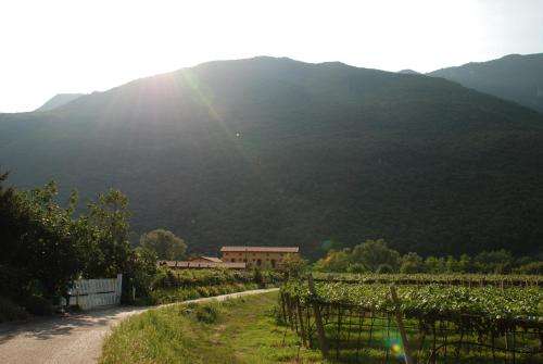 www.revena.it