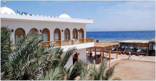 www.shamsdahab.com