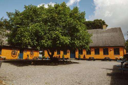www.stevnsklint-bedbreakfast.dk
