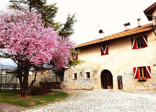 www.agriturciastel.it