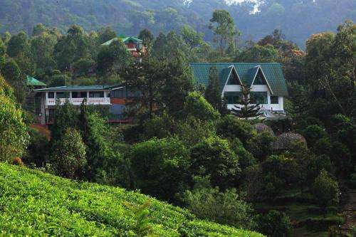 www.camelotmunnar.com