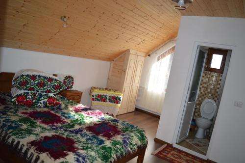 www.lavasilelacazan.ro