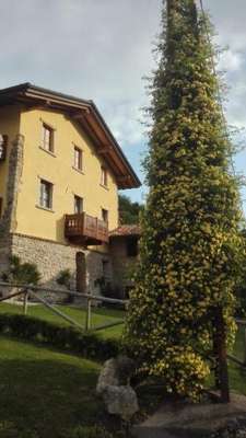 www.ilpostodellefragole.info