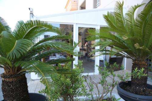 www.moderne-creole.com