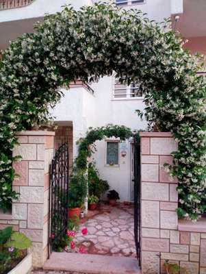 www.syvota-rooms.gr