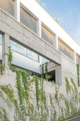www.greenloft.pl