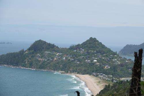 www.fantail-tairua.nz