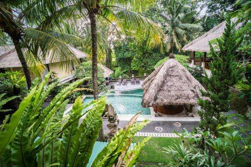 www.koriubud.com
