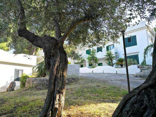 www.residencedolcefarniente.it