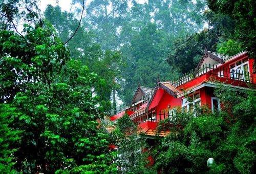 www.teavalleyresort.com