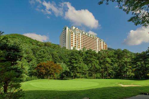 www.pineresort.com