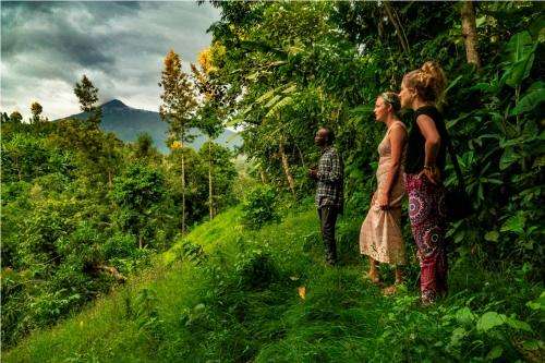 www.bananafarm.eco