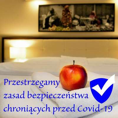www.cchelephant.pl