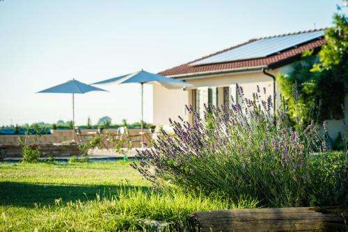 www.zampieravecchia.it