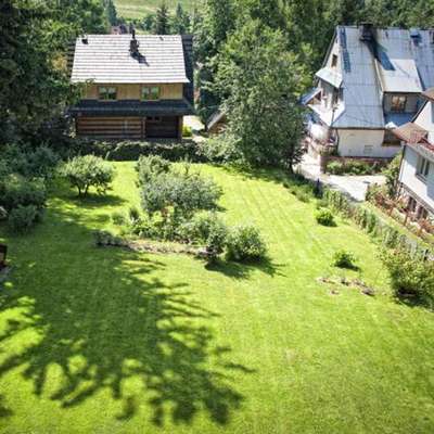 www.willamisiek.pl