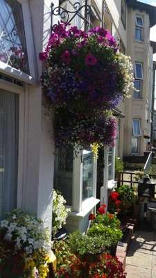 www.sunnysidehotel.org.uk