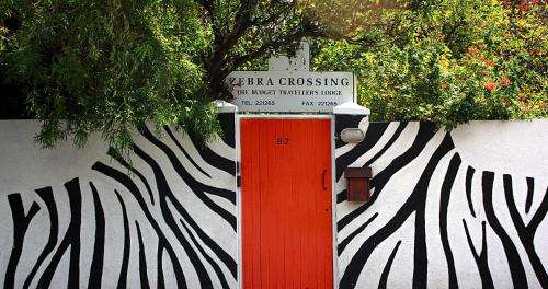 www.zebra-crossing.co.za