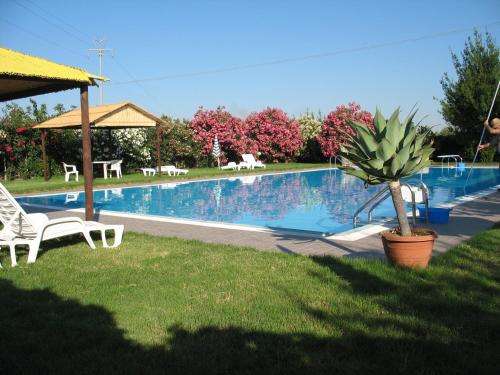 www.aziendamontalbano.com