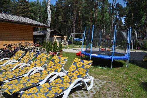 www.magnolie.pl