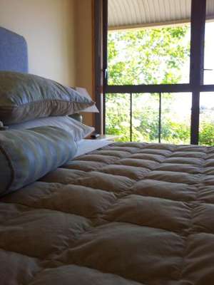 www.vineyardstay.co.nz