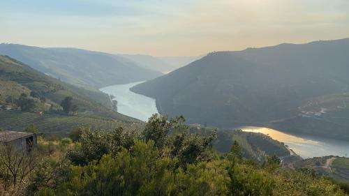 www.casacimeira-douro.com