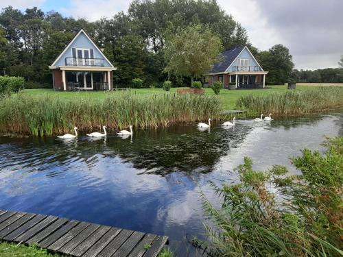 www.villaparklauwerssee.eu