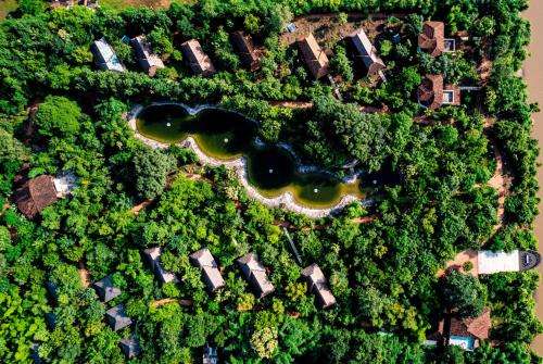 www.tenduleafjungleresort.com