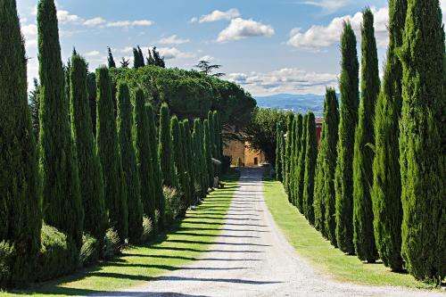www.algelsobianco.it