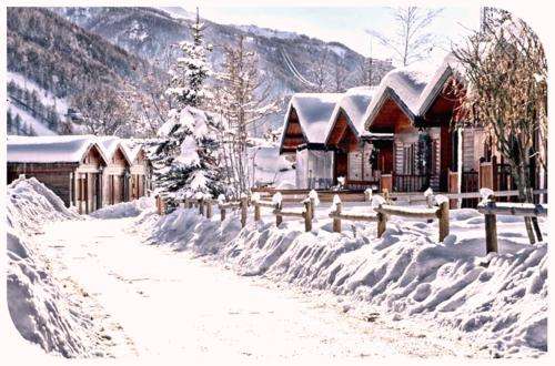 www.campingsestriere.it