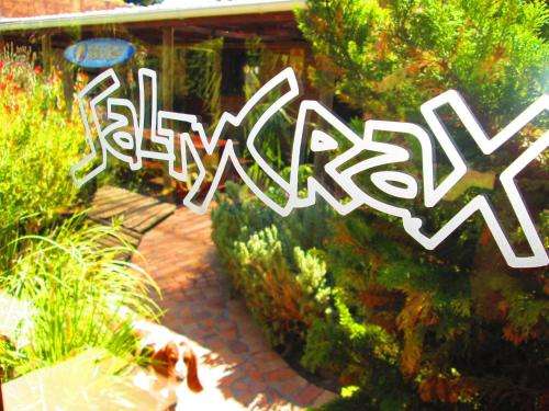 www.saltycrax.com