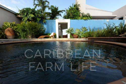 www.4casitas.com