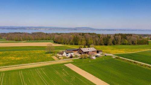 www.hof-tschannen.ch