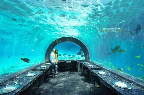 www.youandmemaldives.com