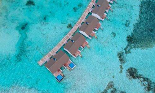 www.southpalmresort.com