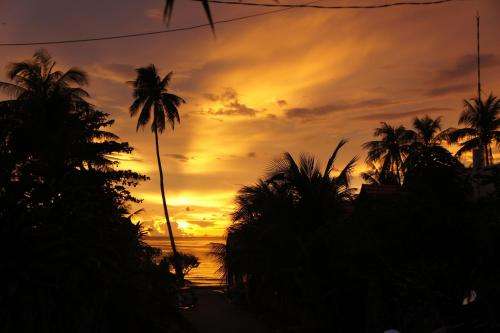 www.phuquockimbungalows.com
