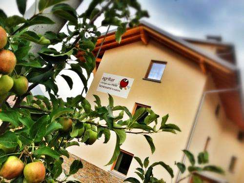 www.agriturdellemele.it