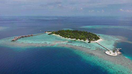 www.nikaisland.com.mv