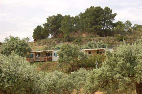 www.campingterraalta.com