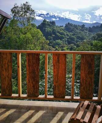 www.ecohorqueta.com