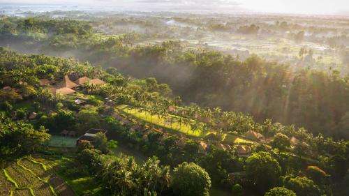 www.mayaresorts.com
